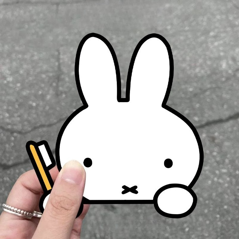 Miffy Kaninchen Autoaufkleber  – Atv Parts Bewertung und Preis