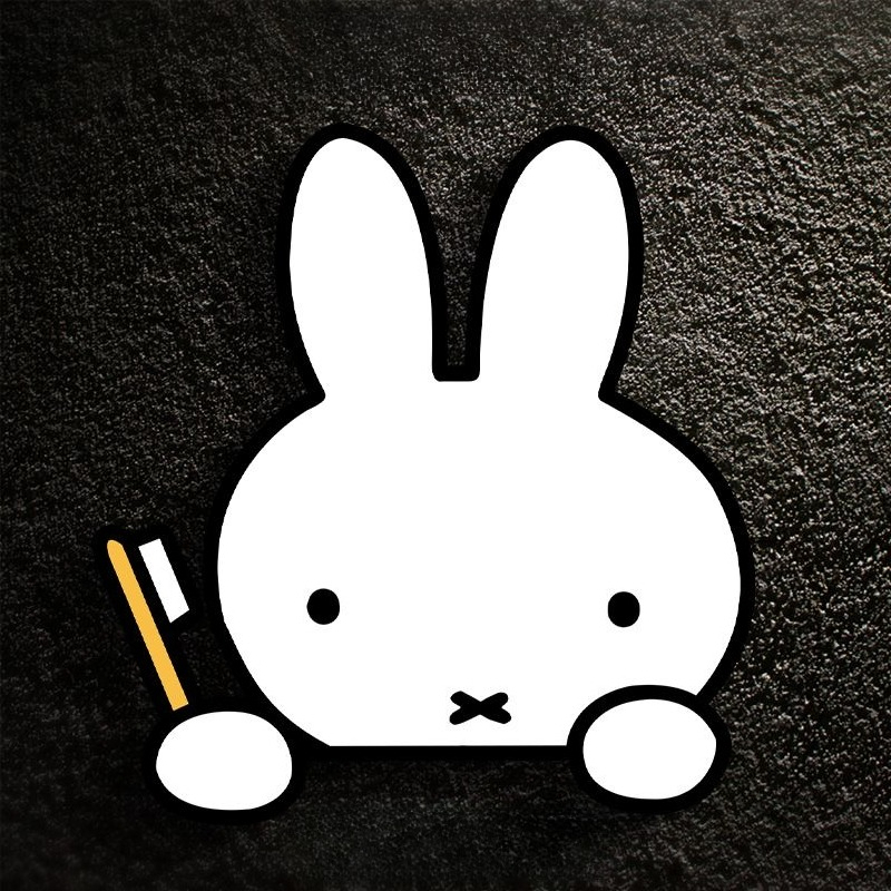 Miffy Kaninchen Autoaufkleber  – Atv Parts Bewertung und Preis